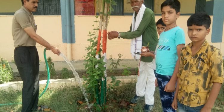 आदर्श विद्या मंदिर छबडा  द्वारा एक कदम प्रकृति संरक्षण और संवर्धन की ओर… आओ पेड़ लगायें…जीवन बचायें कार्यक्रम का किया शुभारंभ।