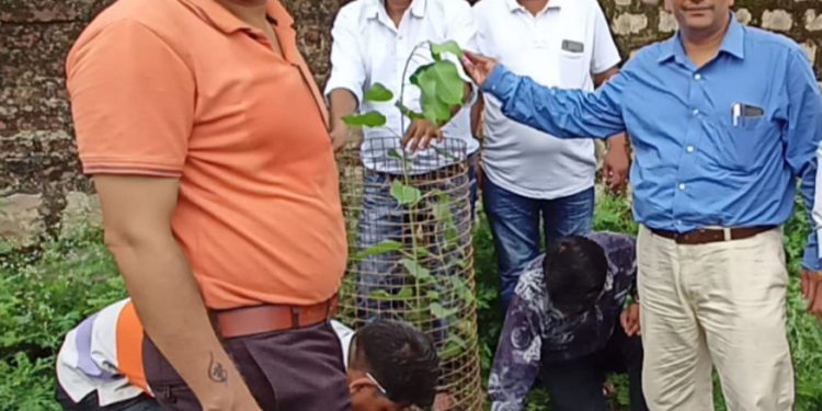 राजकीय चिकित्सालय छबड़ा में हर्ष उल्लास के साथ पौधारोपण कर मनाया डॉक्टर्स डे