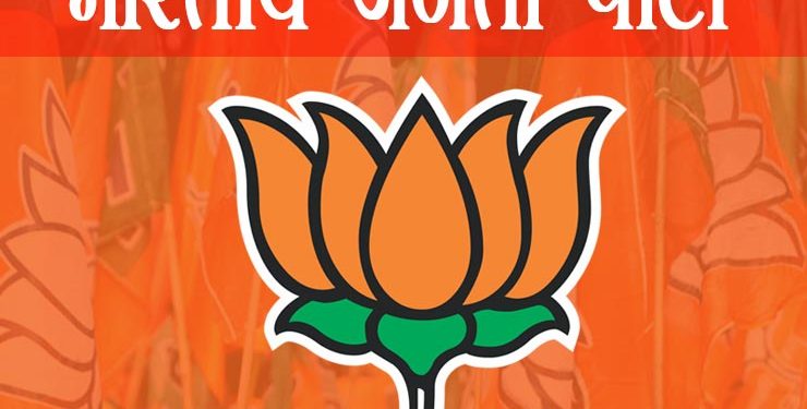 बीजेपी युवा मोर्चा भाजपा मंडल बापचा की  कार्यकारिणी घोषणा