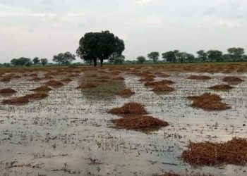 किसान फसल खराबे की सूचना 72 घण्टे में बीमा कम्पनी को जरूर दे