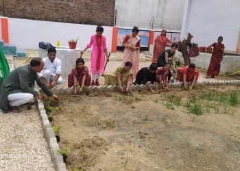 हरियाली अमावस पर विद्या भारती ने किया पर्यावरण पखवाड़े का शुभारंभ