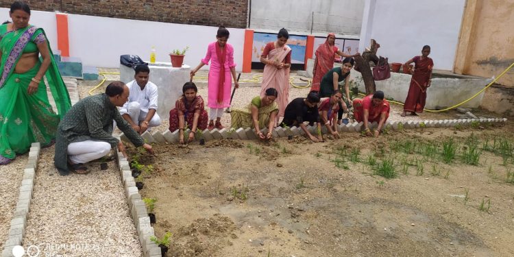 हरियाली अमावस पर विद्या भारती ने किया पर्यावरण पखवाड़े का शुभारंभ